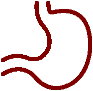 Better Digestion - Less Smelly Stools & Flatulence
