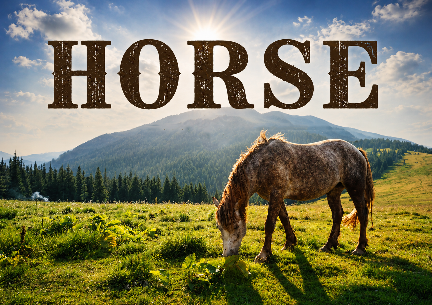Premium Horse Protein Nutrition from Pasture to Paw