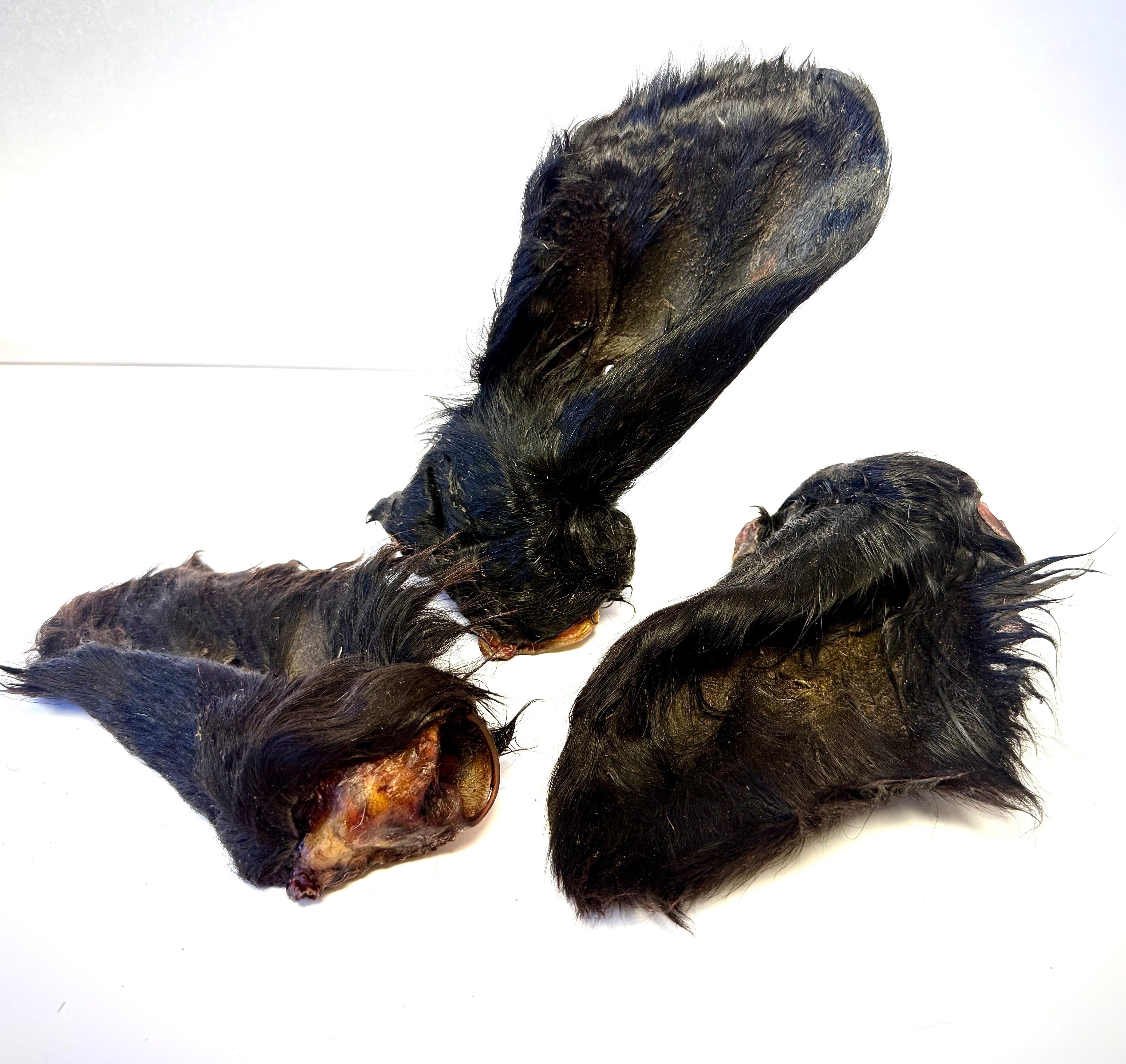 Jumbo Hairy Cow Ears Fur-On